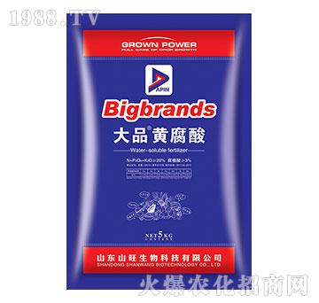 大品黃腐酸-山旺生物