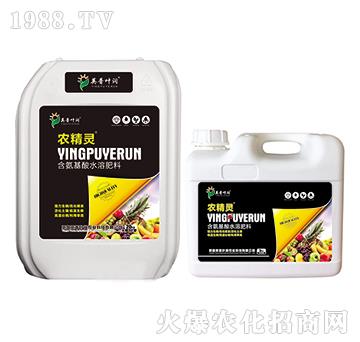 含氨基酸水溶肥料-農(nóng)精靈-英普葉潤