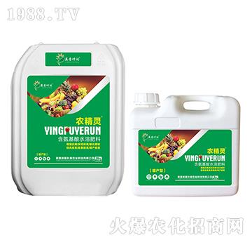 增產型含腐植酸水溶肥料-農精靈-英普葉潤