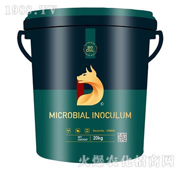 摘不敗-德樸