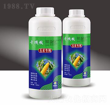 玉米專用含氨基酸水溶肥料-千頃糧-穗滿倉(cāng)