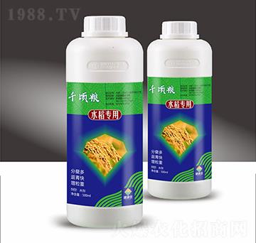 水稻專用含氨基酸水溶肥料-千頃糧-穗滿倉(cāng)