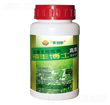矮豐博士-農(nóng)翁樂(lè)