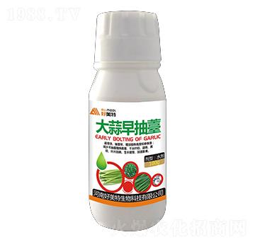 大蒜早抽薹-好美特