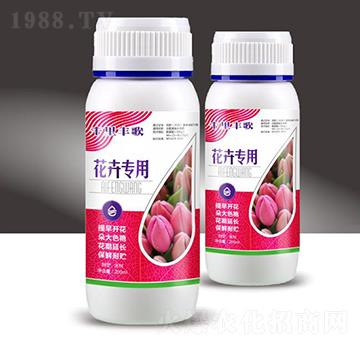花卉專(zhuān)用-千里豐歌-穗滿倉(cāng)