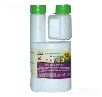 水稻苗床樂-綠源禾谷
