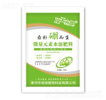 微量元素水溶肥料-為補硼而生-頂天立地-恒綠植物