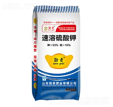 ⛣40kg-FʘI(y)