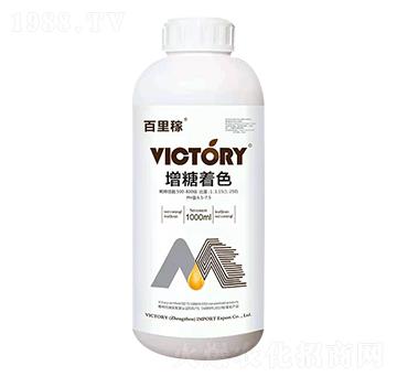 增糖著色-百里稼-維柯托瑞
