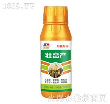 小麥專(zhuān)用壯高產(chǎn)-天葉生物