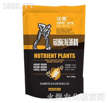 碳酶海藻精-沃秀-凱瑞斯