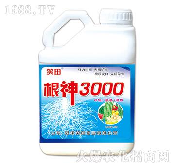 根神3000-笑田