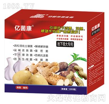 地下增大專用-億菌康R-盛澤坤