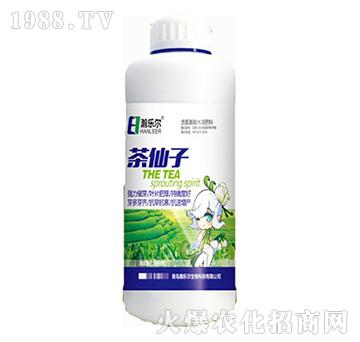 茶仙子-瀚樂爾