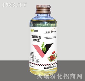 草莓拉直硬果素-匯豐植保