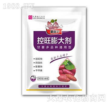控旺膨大劑-薯幫主-升華永樂