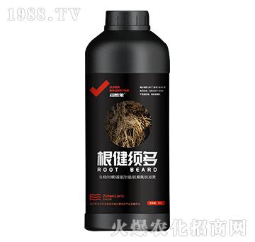 根健須多-超想象-中本立農