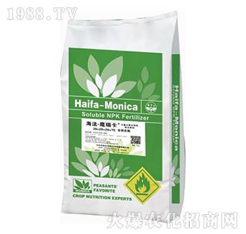 含硝態(tài)氮大量元素水溶肥料20-20-20+TE-海法魔瑞豐-海法