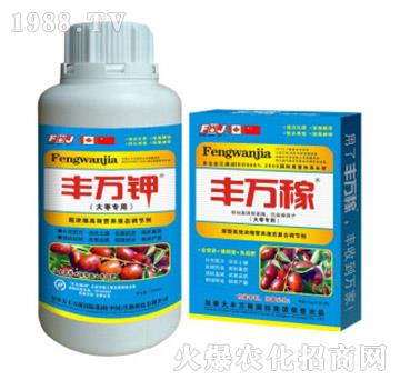 大棗專用營養(yǎng)液態(tài)復合調節(jié)劑-豐萬稼