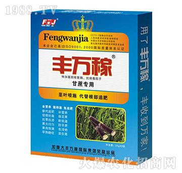 甘蔗專用肥-抗病增粗提糖增粗營養(yǎng)液-豐萬稼