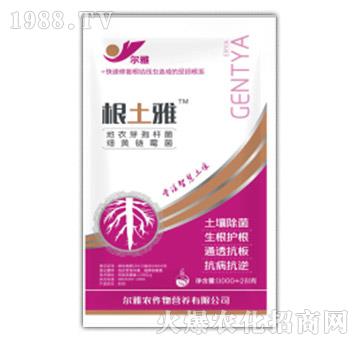 根土雅-爾雅-乾農(nóng)