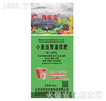 小麥返青灌漿肥-豐旺寶