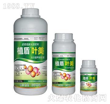 葉美-植盾-德?tīng)柹? />
                                </div>
                            </div>
                            
                            <style type=