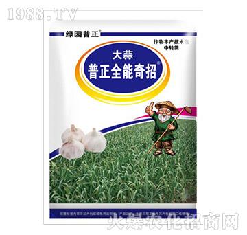 大蒜專用普正全能奇招-普正農業(yè)