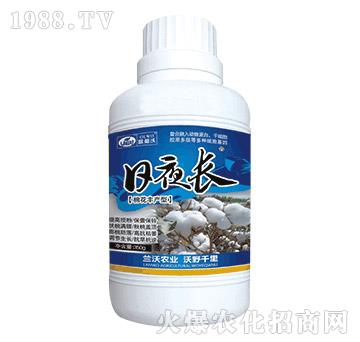 日夜長（棉花豐產(chǎn)型）-蘭沃農(nóng)業(yè)