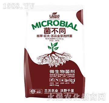 枯草·巨大·蘇云金芽孢桿菌-菌不同-蘭沃農(nóng)業(yè)