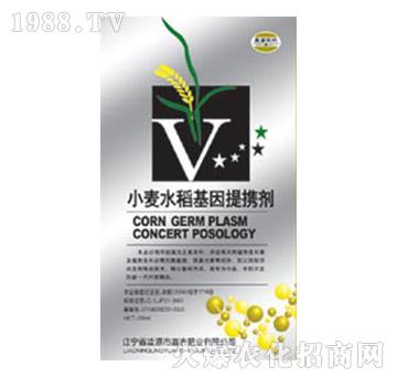 小麥水稻基因提攜劑-嘉吉