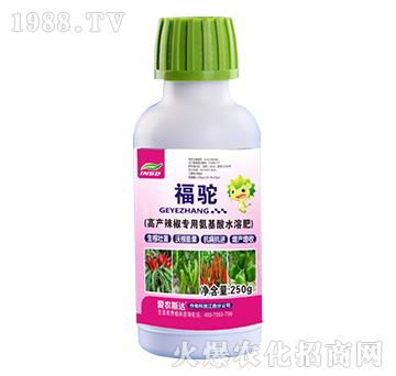 高產(chǎn)辣椒專用氨基酸水溶肥-福駝-愛農(nóng)斯達