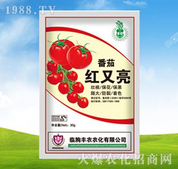 番茄紅又亮-豐農(nóng)農(nóng)化