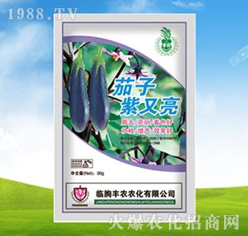 茄子紫又亮-豐農(nóng)農(nóng)化