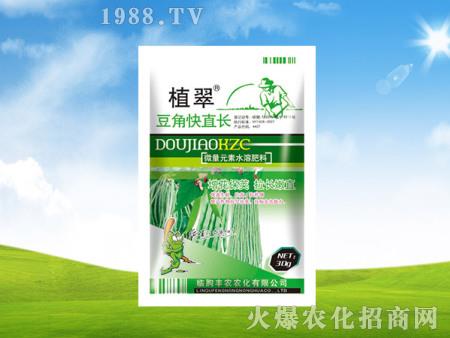豆角快直長-植翠-豐農(nóng)農(nóng)化