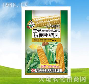 玉米抗倒粗縮靈-豐農(nóng)農(nóng)化