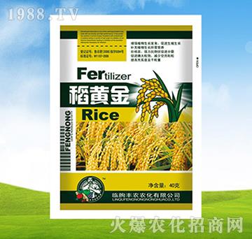 稻黃金-豐農(nóng)農(nóng)化