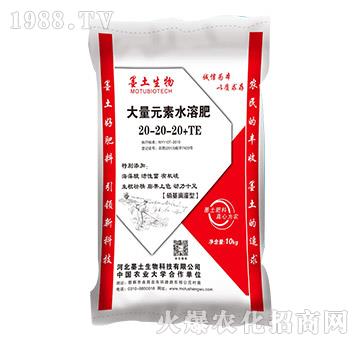 大量元素水溶肥20-20-20+TE-墨土