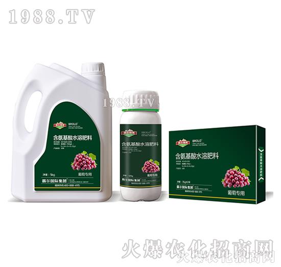 葡萄專用含氨基酸水溶肥料-霸爾綠博1