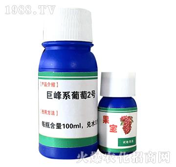 巨峰系葡萄2號-果寶-彭邦生物