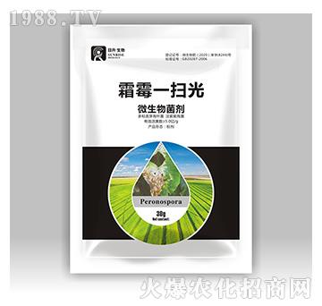 微生物菌劑-霜霉一掃光-日升生物