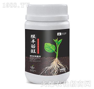 微生物菌劑-根豐苗旺-日升生物