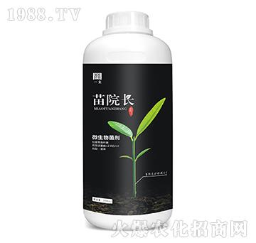 微生物菌劑-苗院長(zhǎng)-一璽生物