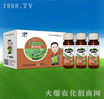 黃瓜優(yōu)選-喜臨萬稼-艾普生