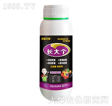 長(zhǎng)大個(gè)-喜臨萬(wàn)稼-艾普生