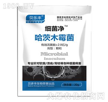 哈茨木霉菌-細(xì)菌凈-貝多豐