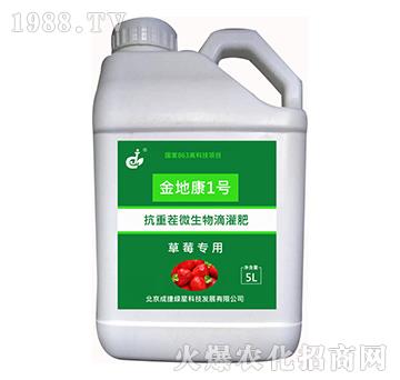 草莓專用微生物滴灌肥-金地康1號(hào)-成捷綠星