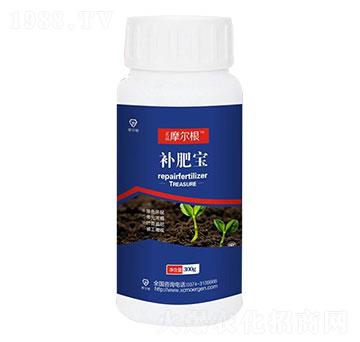 補肥寶-摩爾根