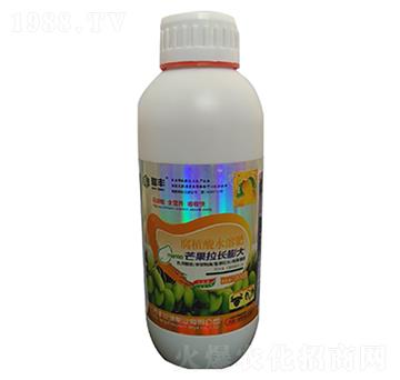 芒果拉長(zhǎng)膨大-豐收源