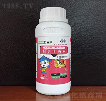 拉長豐滿素-賽爾豐